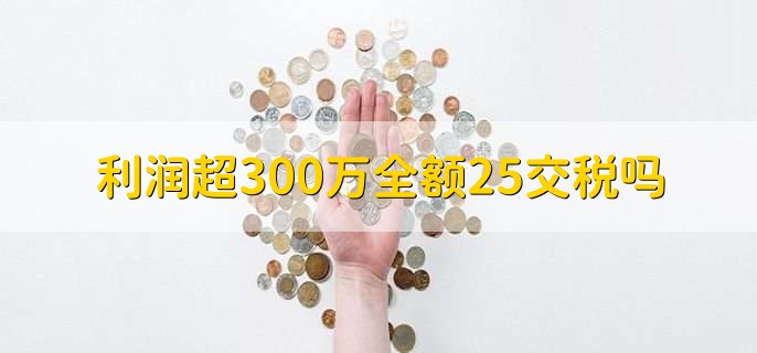 利润超300万全额25交税吗