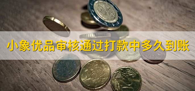 小象优品审核通过打款中多久到账