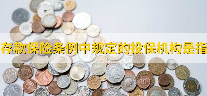 存款保险条例中规定的投保机构是指