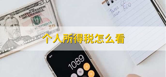 个人所得税怎么看
