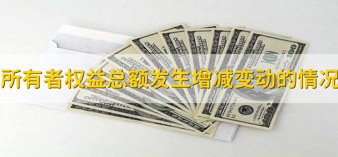 所有者权益总额发生增减变动的情况,有以下4点