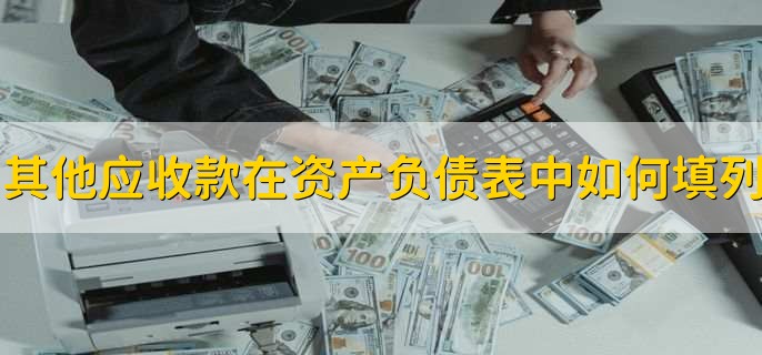 其他应收款在资产负债表中如何填列