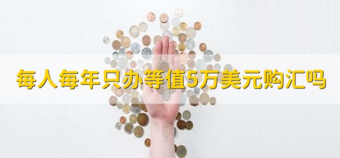 每人每年只能办理等值5万美元的购汇和结汇吗