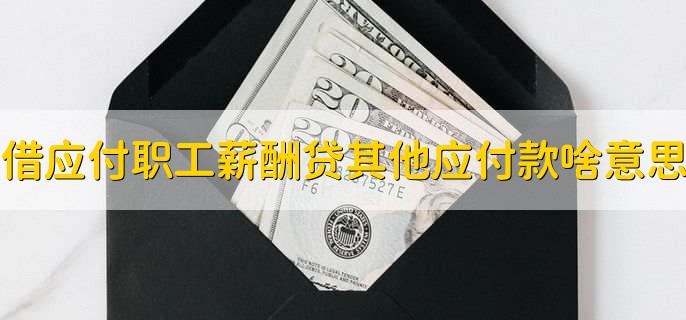 借应付职工薪酬贷其他应付款啥意思,什么是其他应付款是负数