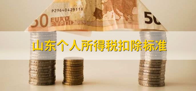 山东个人所得税扣除标准