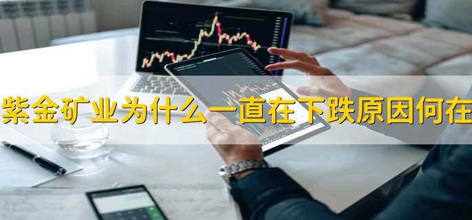 紫金矿业为什么一直在下跌原因何在