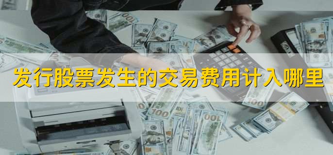 发行股票发生的交易费用计入哪里,发行费用或发行成本