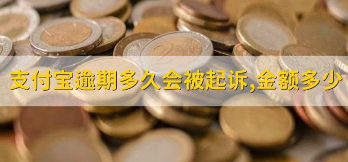 支付宝逾期多久会被起诉,金额达到多少