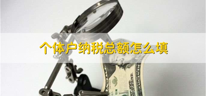 个体户纳税总额怎么填