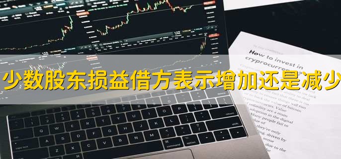 少数股东损益借方表示增加还是减少