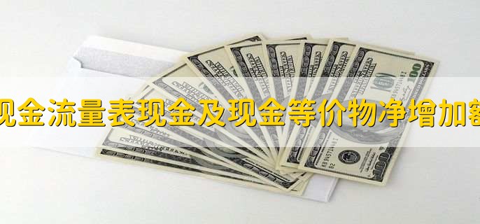 现金流量表现金及现金等价物净增加额