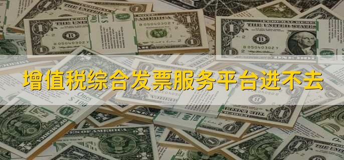 增值税综合发票服务平台进不去