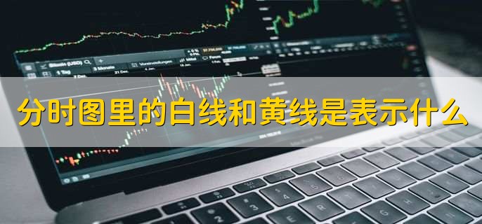 分时图里的白线和黄线是表示什么