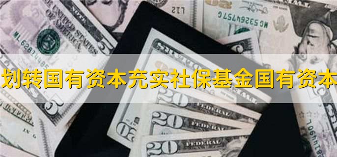 划转国有资本充实社会保险基金的国有资本包括,有以下4点