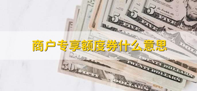 商户专享额度券什么意思