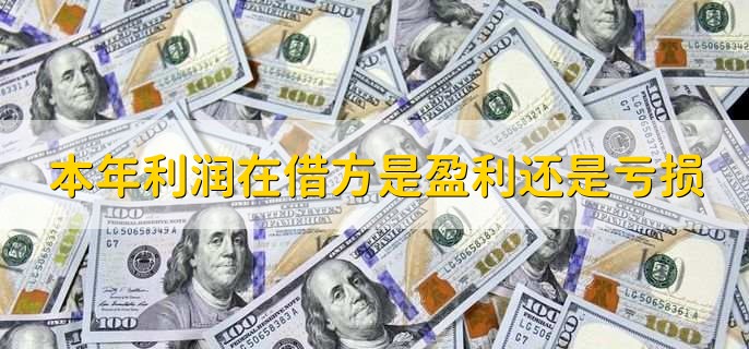 本年利润在借方是盈利还是亏损