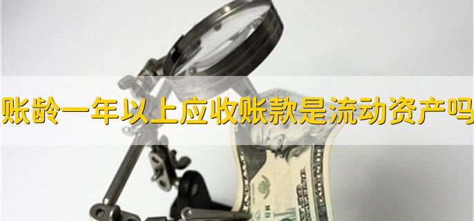 账龄在一年以上的应收账款是流动资产吗
