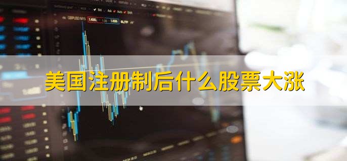 美国注册制后什么股票大涨