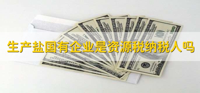 生产盐的国有企业属于资源税纳税人吗