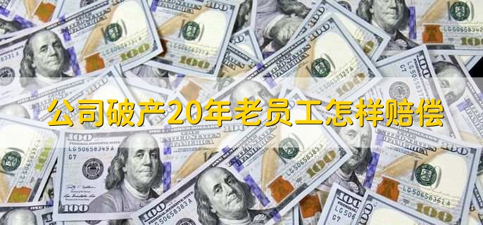 公司破产20年老员工怎样赔偿