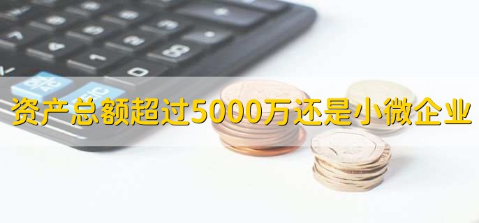 资产总额超过5000万还是小微企业