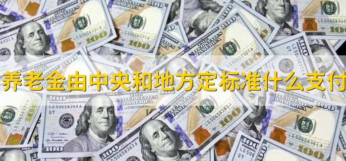 基础养老金由中央和地方确定标准并什么支付,城乡居民基础养老金什么意思