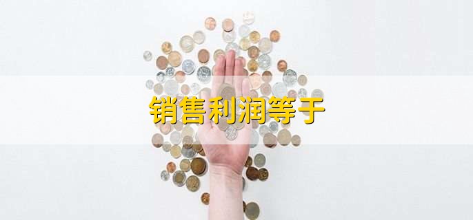 销售利润等于,销售收入减去销售成本