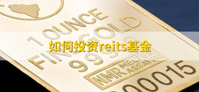 如何投资reits基金
