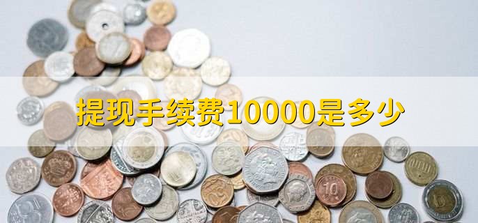 提现手续费10000是多少