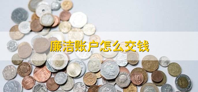 廉洁账户怎么交钱
