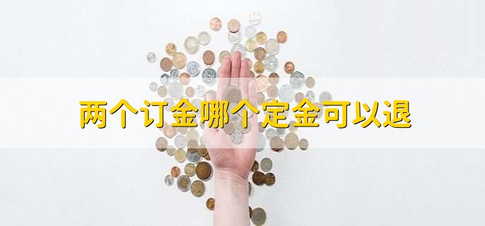 两个订金哪个定金可以退