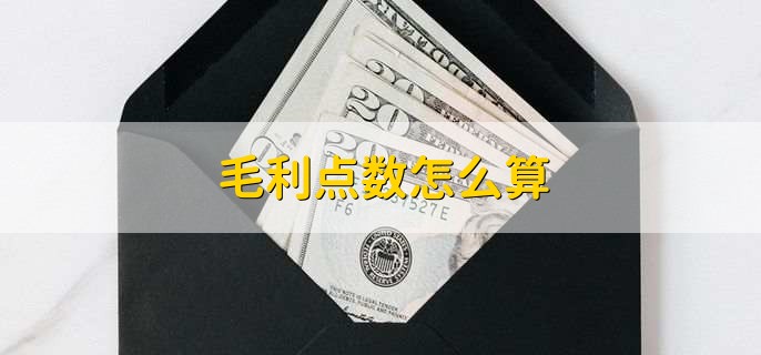 毛利点数怎么算