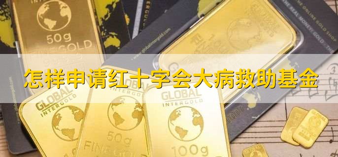 怎样申请红十字会大病救助基金