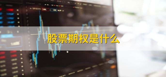 股票期权是什么