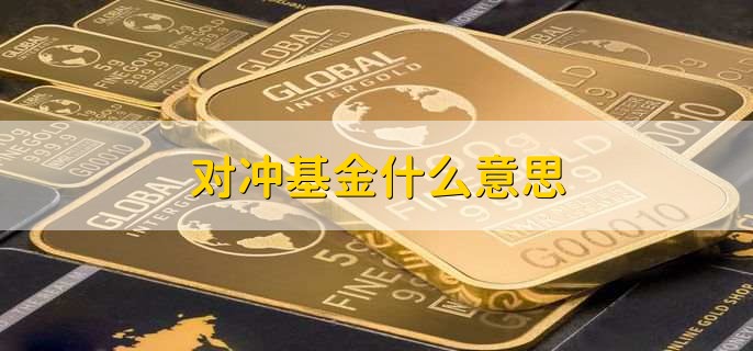 对冲基金什么意思