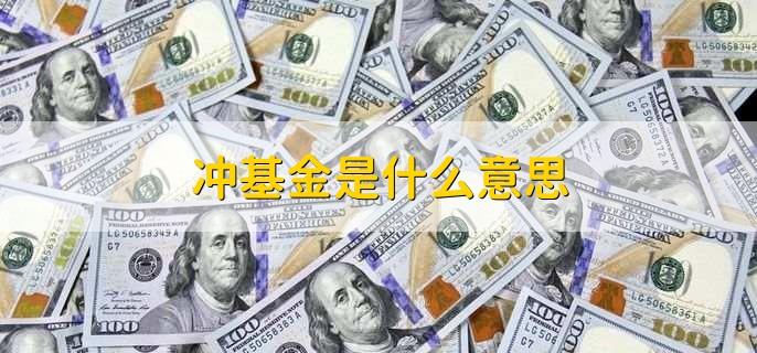 冲基金是什么意思,风险对冲过的基金