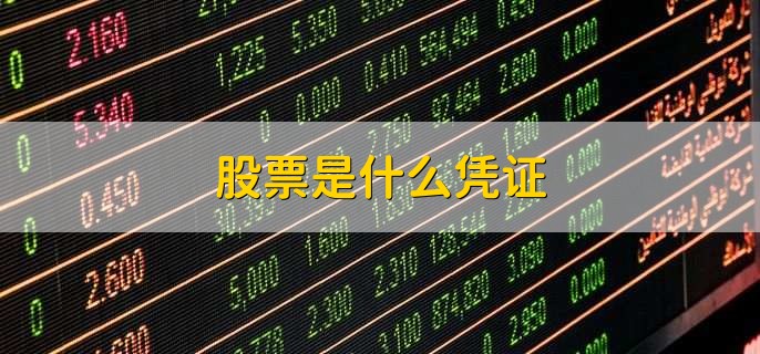 股票是什么凭证，证明股东所持股份的凭证