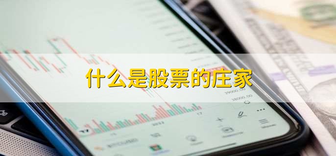 什么是股票的庄家