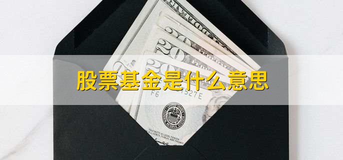 股票基金是什么意思