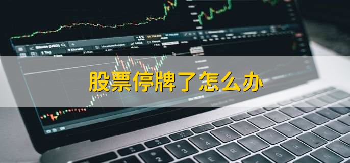 股票停牌了怎么办