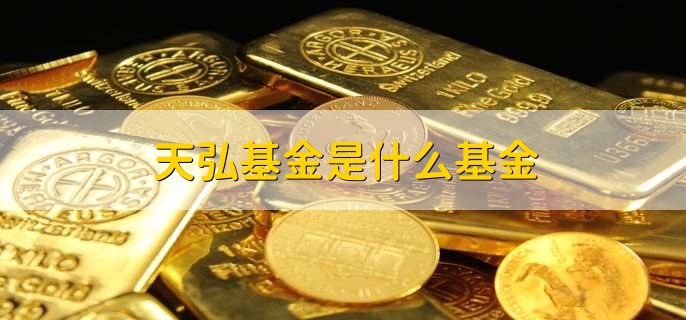 天弘基金是什么基金