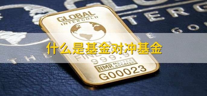 什么是基金对冲基金
