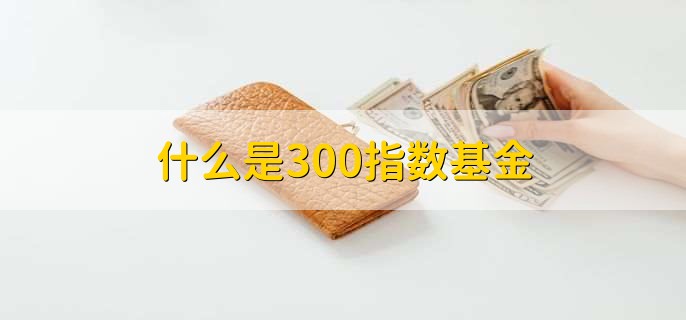 什么是300指数基金