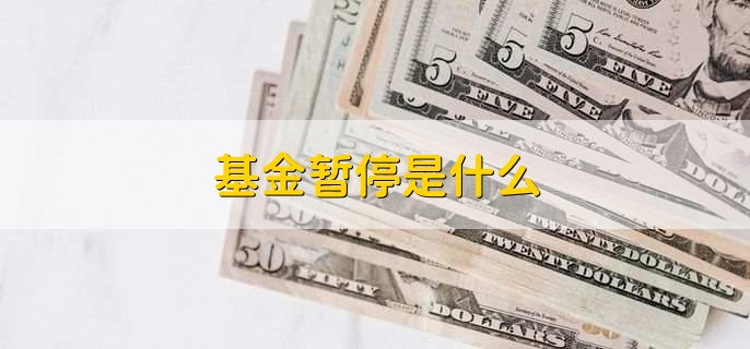 基金暂停是什么,基金管理公司暂停了对某个或某些基金的赎回和/或申购服务