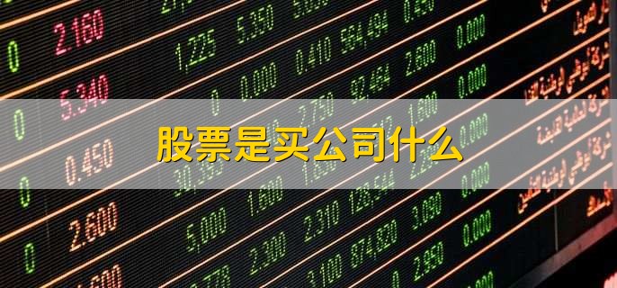 股票是买公司什么,所有权