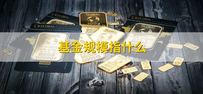 基金规模指什么,基金的资产总额