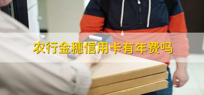 农行金穗信用卡有年费吗