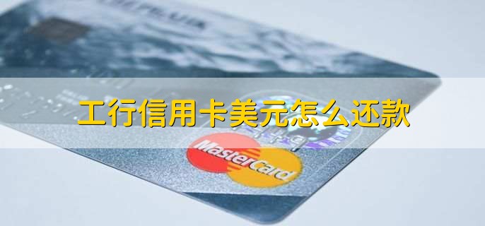 工行信用卡美元怎么还款