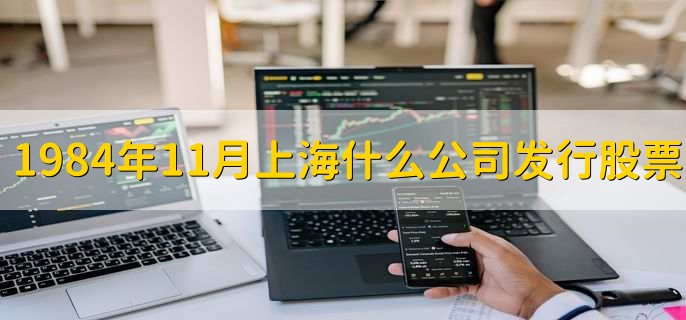 1984年11月上海什么公司发行股票,上海飞乐音响公司