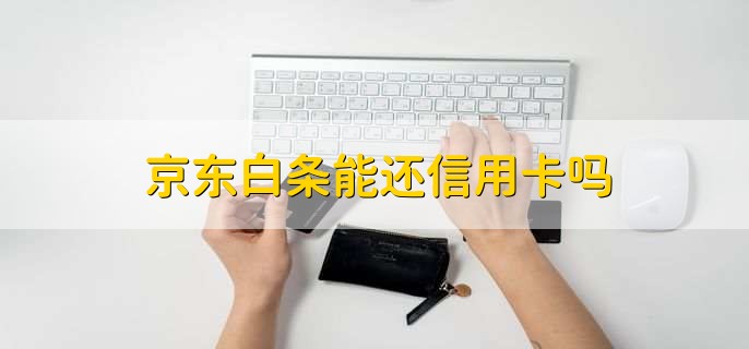 京东白条能还信用卡吗